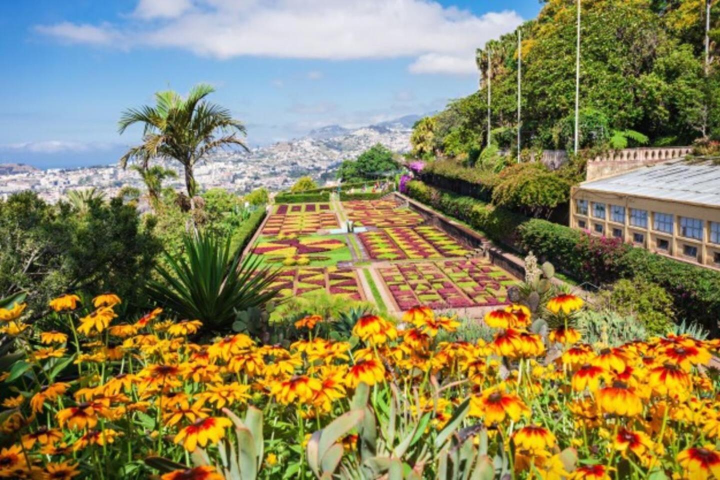 Comfortable 2-Bedroom Apartment For Relaxing Stays Funchal  Kültér fotó